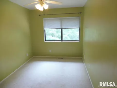11 Oakbend Ct, Springfield, IL 62704 photo 12