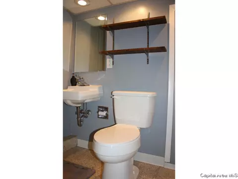108 Archer, Springfield, IL 62704 photo 19