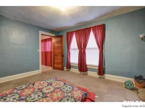 1025 W Edwards St, Springfield, IL 62704 photo 21