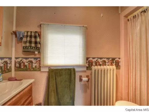 1025 W Edwards St, Springfield, IL 62704 photo 17
