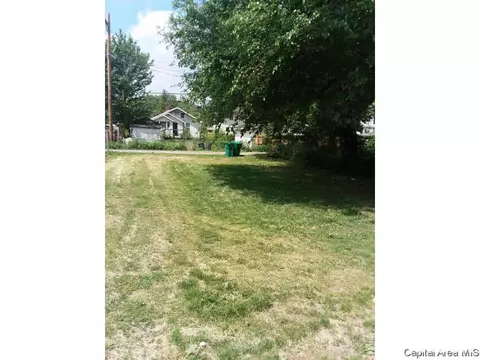 1817 S Spg, Springfield, IL 62704 photo 3