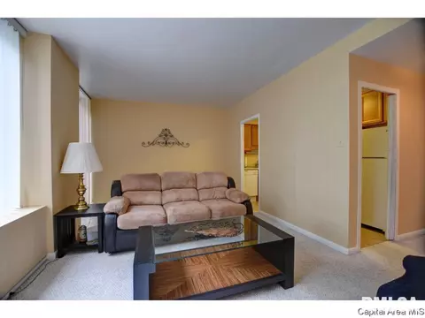 718 S 7th St #101, Springfield, IL 62703 photo 8