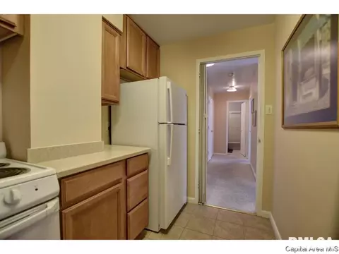 718 S 7th St #101, Springfield, IL 62703 photo 14