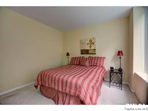 718 S 7th St #101, Springfield, IL 62703 photo 16