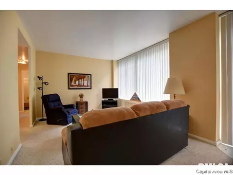 718 S 7th St #101, Springfield, IL 62703 photo 10