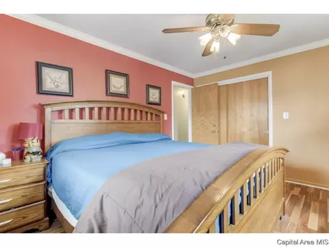 43 Radcliff Rd, Springfield, IL 62703 photo 18