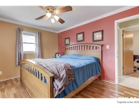 43 Radcliff Rd, Springfield, IL 62703 photo 17