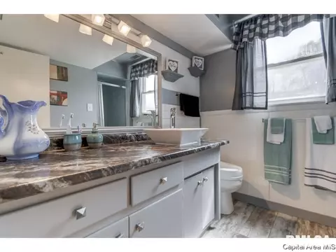 43 Radcliff Rd, Springfield, IL 62703 photo 25