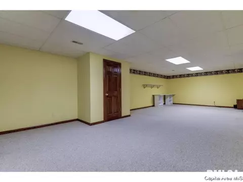 4309 Thyme, Springfield, IL 62711 photo 27