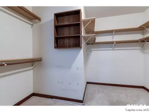 4309 Thyme, Springfield, IL 62711 photo 23