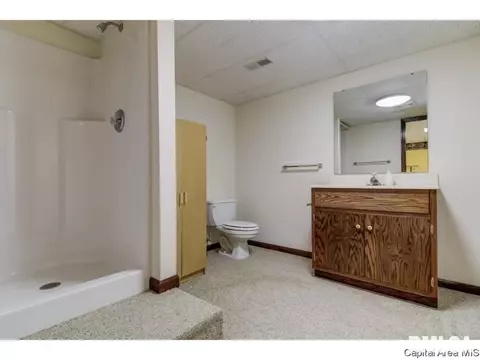4309 Thyme, Springfield, IL 62711 photo 26