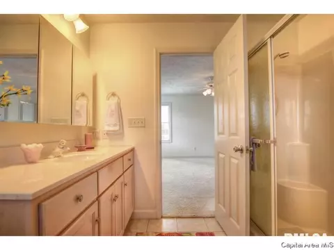 2908 Kipling Ct, Springfield, IL 62711 photo 16