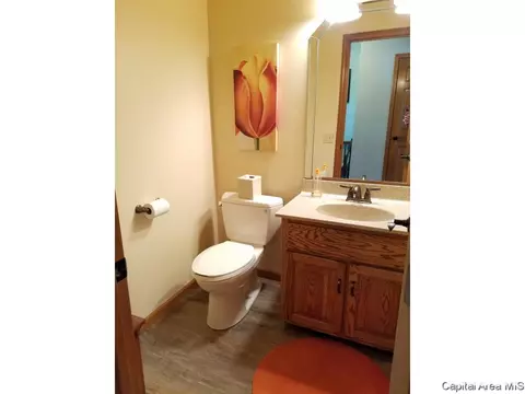 3986 Rochester Rd, Springfield, IL 62712 photo 23