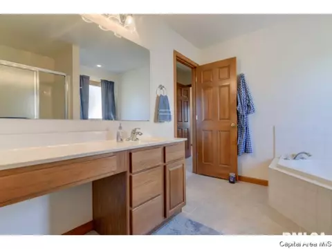 1409 Summershade Dr, Springfield, IL 62712 photo 21