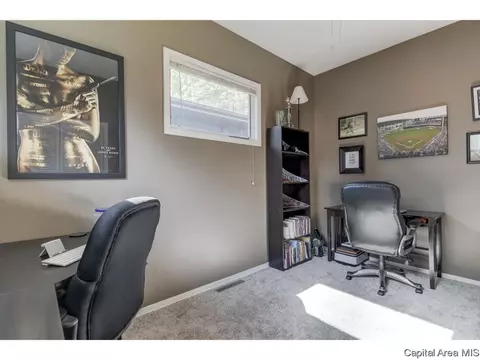 2312 S Bates Ave, Springfield, IL 62704 photo 29