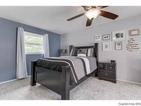 2312 S Bates Ave, Springfield, IL 62704 photo 20