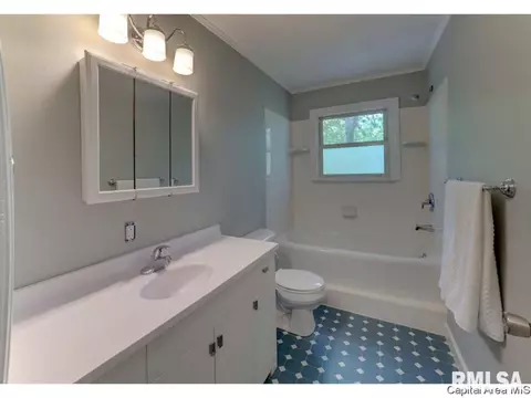 17 Andover Dr, Springfield, IL 62704 photo 22