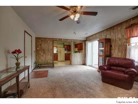25 Ridge Ct, Springfield, IL 62703 photo 12