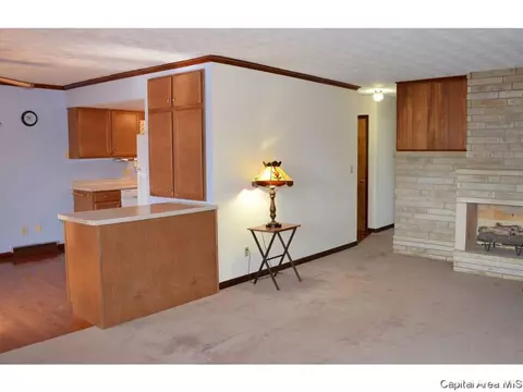 38 Royal Rd, Springfield, IL 62702 photo 13