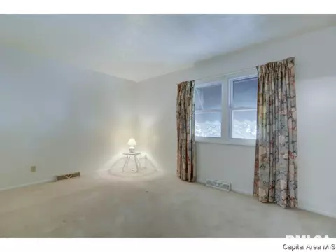 3236 Warner Dr, Springfield, IL 62703 photo 24