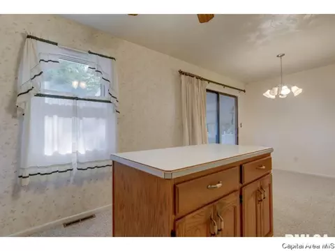 3236 Warner Dr, Springfield, IL 62703 photo 17