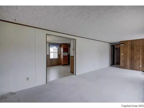 110 Mainst, Owaneco, IL 62555 photo 21