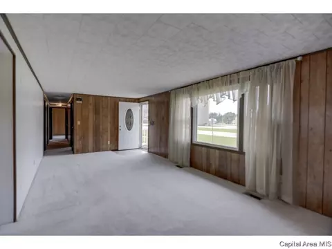 110 Mainst, Owaneco, IL 62555 photo 20