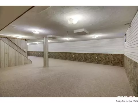 110 Mainst, Owaneco, IL 62555 photo 22