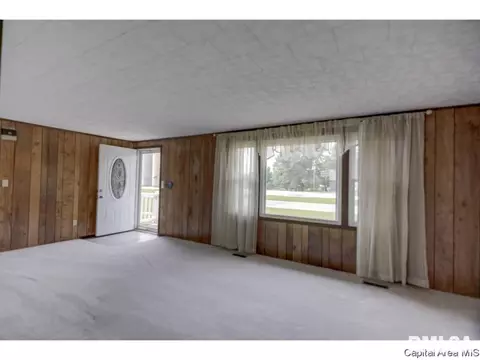 110 Mainst, Owaneco, IL 62555 photo 19