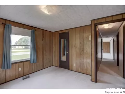 110 Mainst, Owaneco, IL 62555 photo 35