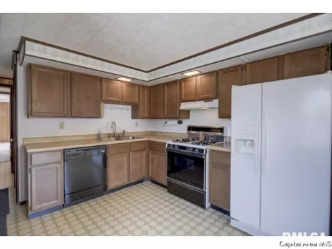 110 Mainst, Owaneco, IL 62555 photo 11