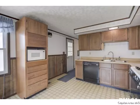 110 Mainst, Owaneco, IL 62555 photo 12