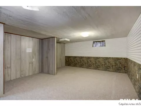 110 Mainst, Owaneco, IL 62555 photo 25