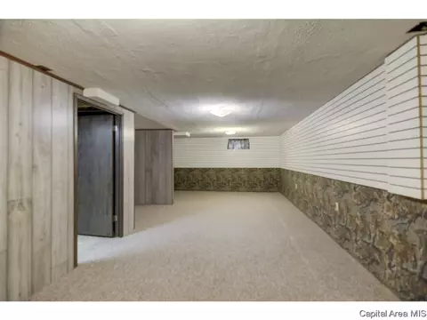 110 Mainst, Owaneco, IL 62555 photo 24