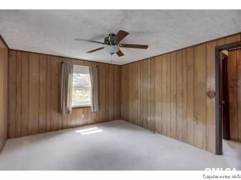 110 Mainst, Owaneco, IL 62555 photo 31