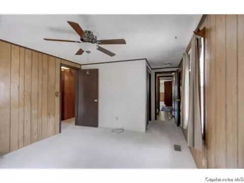110 Mainst, Owaneco, IL 62555 photo 30