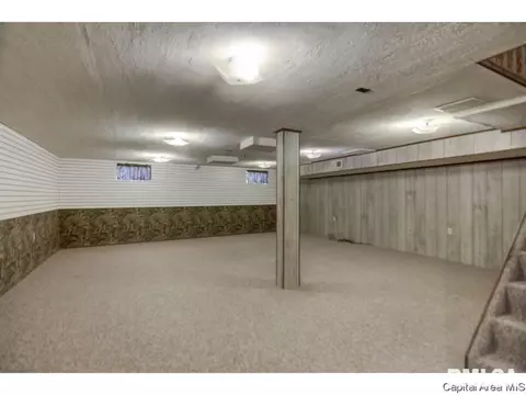 110 Mainst, Owaneco, IL 62555 photo 23