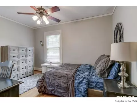 944 Williams, Springfield, IL 62704 photo 22