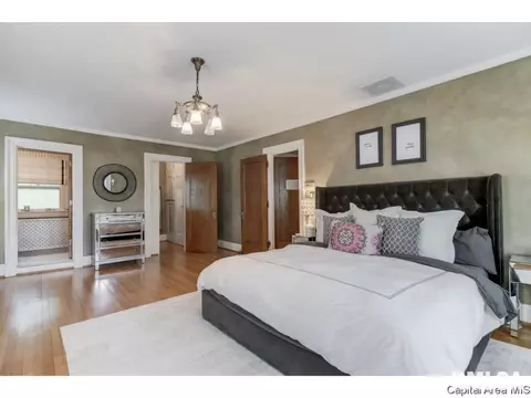 944 Williams, Springfield, IL 62704 photo 28