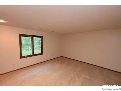 12 Forest Green Dr, Springfield, IL 62711 photo 32