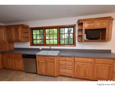 12 Forest Green Dr, Springfield, IL 62711 photo 13