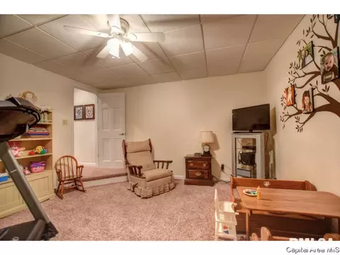 4044 Guilford Dr, Springfield, IL 62711 photo 29