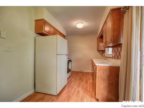 1828 Albert St, Springfield, IL 62702 photo 6