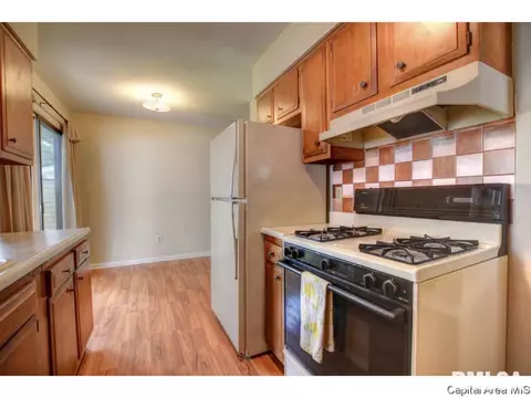 1828 Albert St, Springfield, IL 62702 photo 8