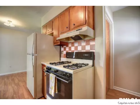 1828 Albert St, Springfield, IL 62702 photo 9