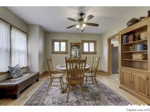 1509 Holmes, Springfield, IL 62704 photo 9