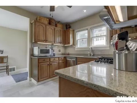 1509 Holmes, Springfield, IL 62704 photo 14