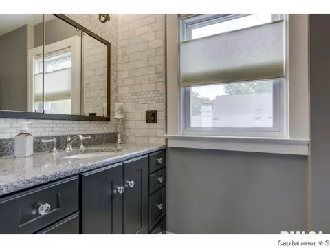 1509 Holmes, Springfield, IL 62704 photo 29