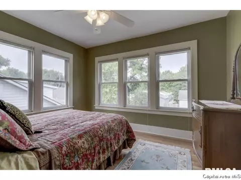 1509 Holmes, Springfield, IL 62704 photo 23