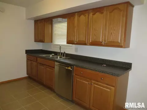 45 Birch Dr, Chatham, IL 62629 photo 12